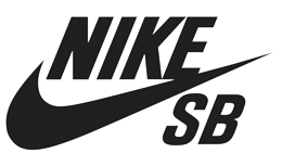 Nike classic 2025 skate shoes