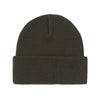 Carhartt WIP Ohio Beanie - Olive
